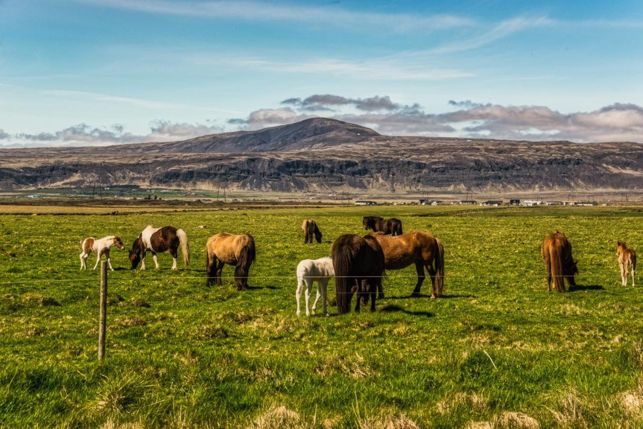 Reykjadalur Guesthouse Hveragerdi Kültér fotó